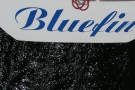Bluefin 2003 - rejsy i regaty autor Krzysztof Krygier